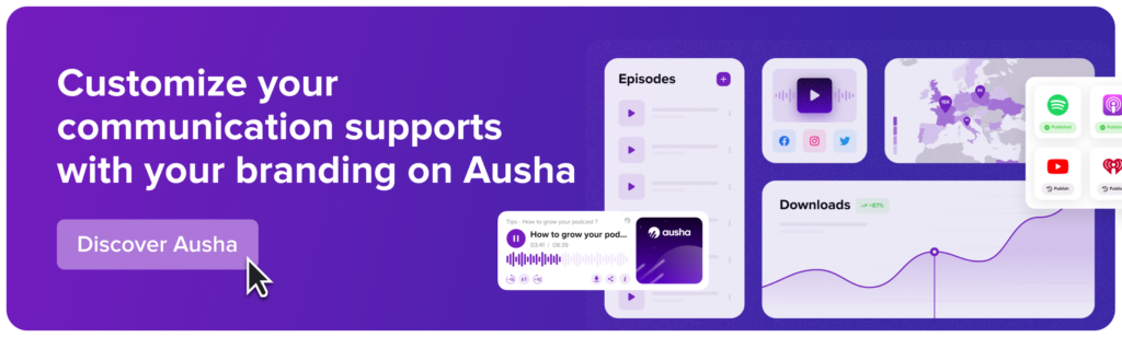 Customization Promotion supports on Ausha